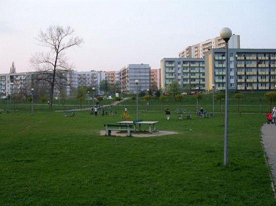 Jedna z potencjalnych lokalizacji - centralny plac parku.