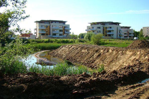 Fot. Klub Przyrodników Regionu Radomskiego