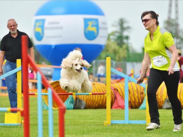 Foto. Katarzyna Piotrowska