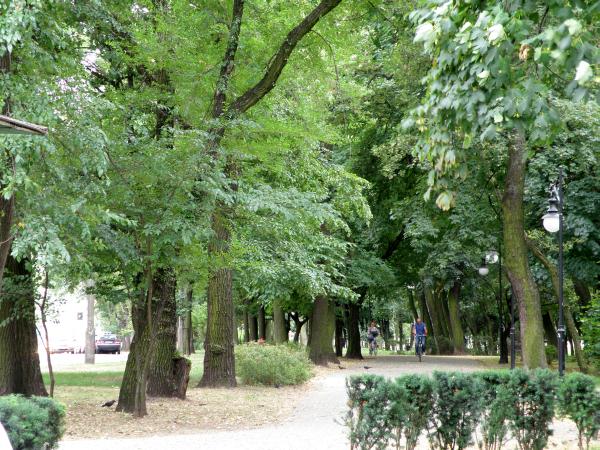 Park Kościuszki w Radomiu, fot. M.G.