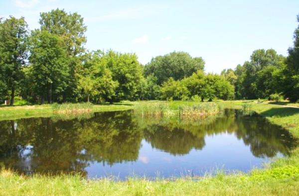 Park Stary Ogród