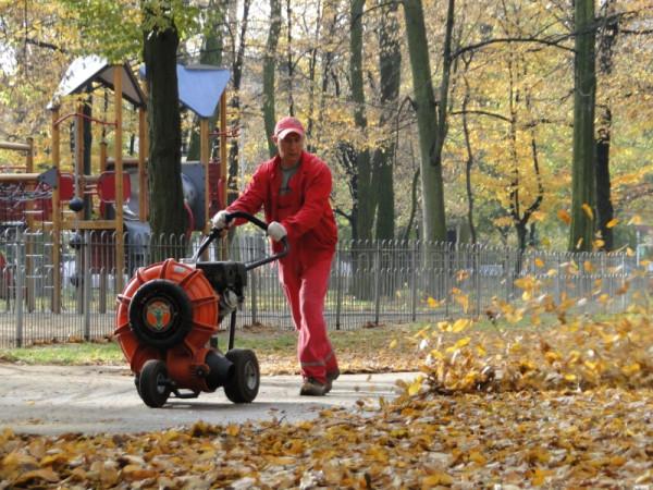 W ostatnich dniach w radomskich parkach spadło z drzew i krzewów mnóstwo liści. W poniedziałek praco