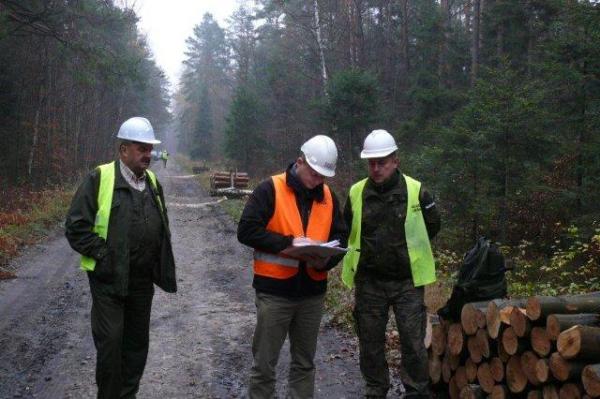 Foto: radom.lasy.gov.pl