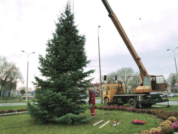 Foto: zuk.radom.pl