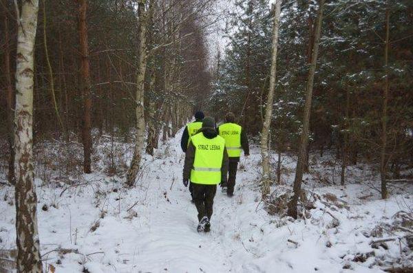 Na obszarach leśnych organizowane są patrole leśników - leśniczych i podleśniczych oraz straży leśne