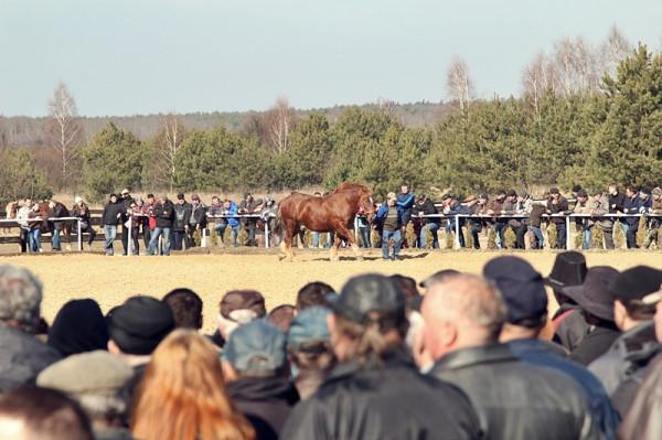 Foto: Bartosz Wiatrak