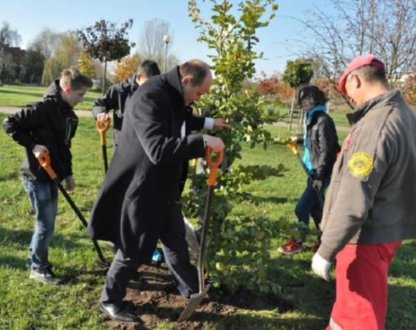 Foto: radom.pl