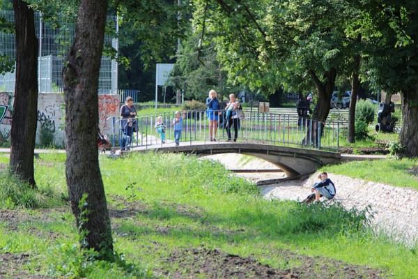 W parku Leśniczówka opryski mają się odbyć drugiej nocy