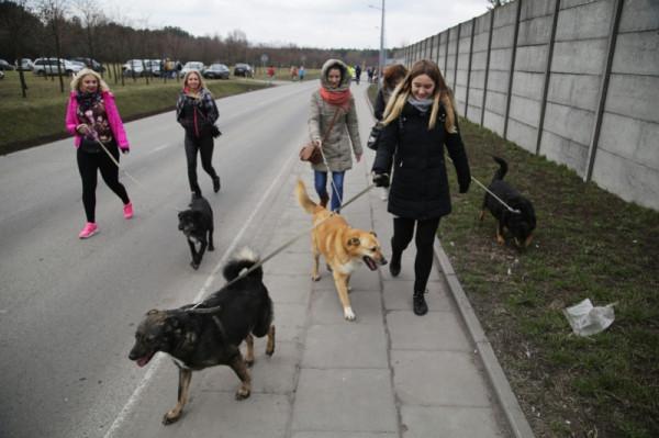 Tak było podczas ubiegłorocznego biegu. Teraz zaplanujcie sobie już nowy termin - niedziela, 15 kwie