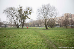 Konsultacje ws. zagospodarowania terenu rekreacyjnego na Ustroniu